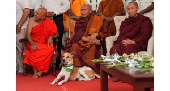 සාමයේ පාගමන ඇරඹීමට සියල්ල සූදානම්